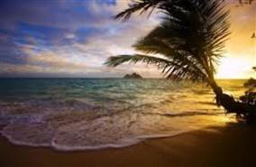 Praia Do Forte Real Estate At A Glance